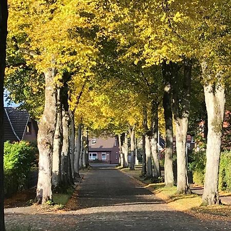 Ferienwohnung Am Holzfeld Schneverdingen Eksteriør bilde